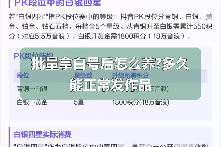 批量拿白号后怎么养?多久能正常发作品